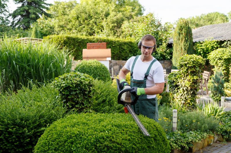 Lawn Shrubbery Care