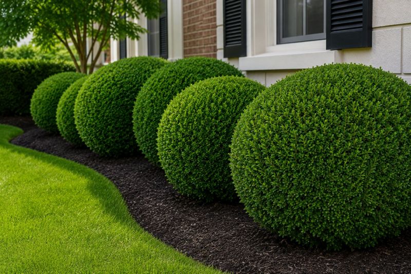 Bush Pruning in Ventura County, CA