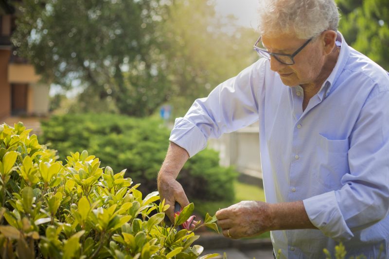 Bush Pruning in Aiken, SC
