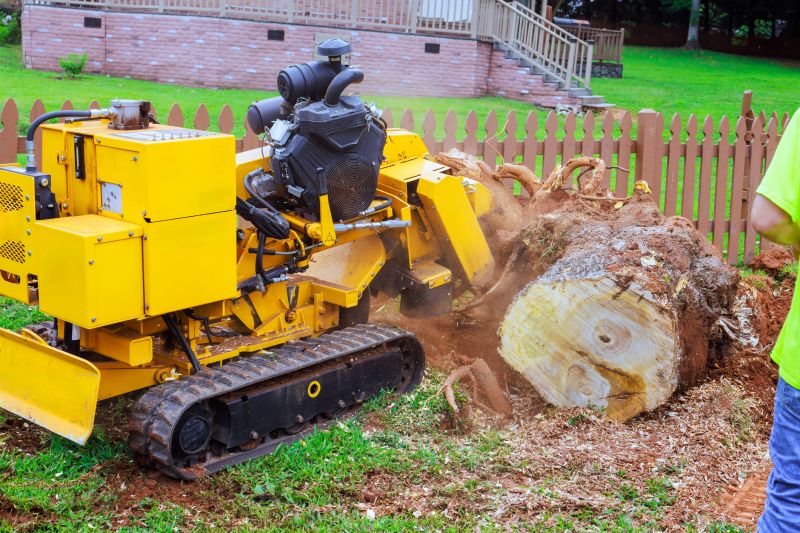 Bush Stump Grinding in Waldorf, MD
