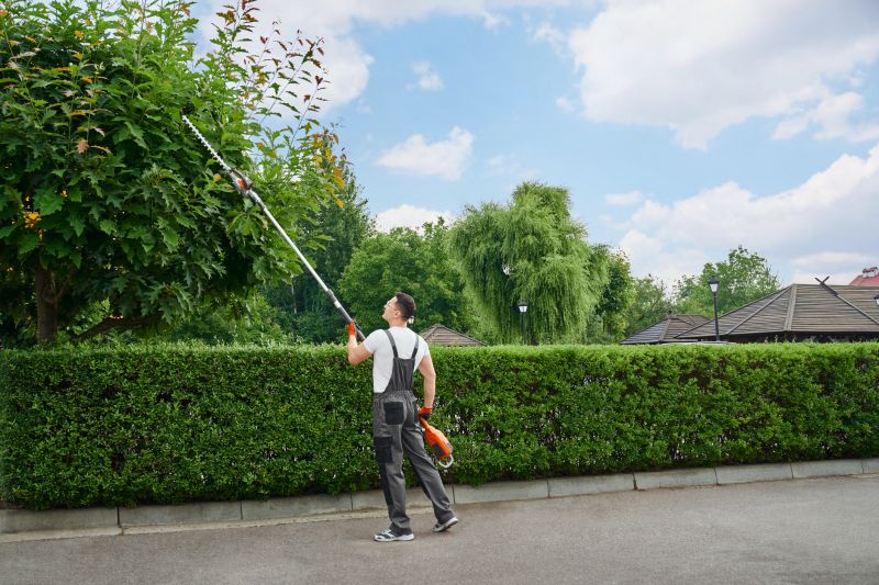 Commercial Shrub Trimming in Aiken, SC