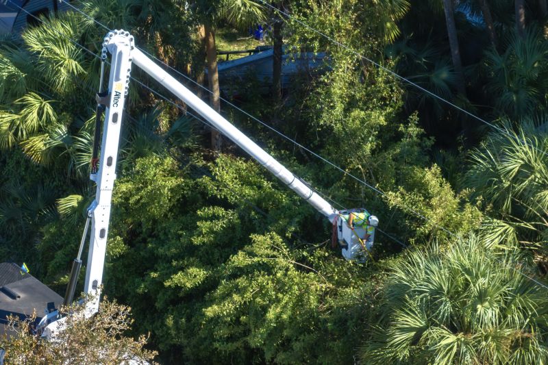 Commercial Tree Trimming in Pottstown, PA