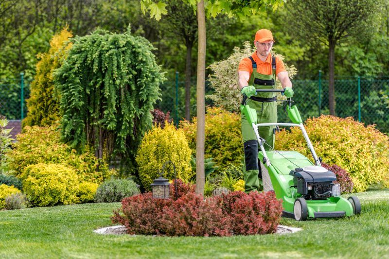 Lawn Shrubbery Care