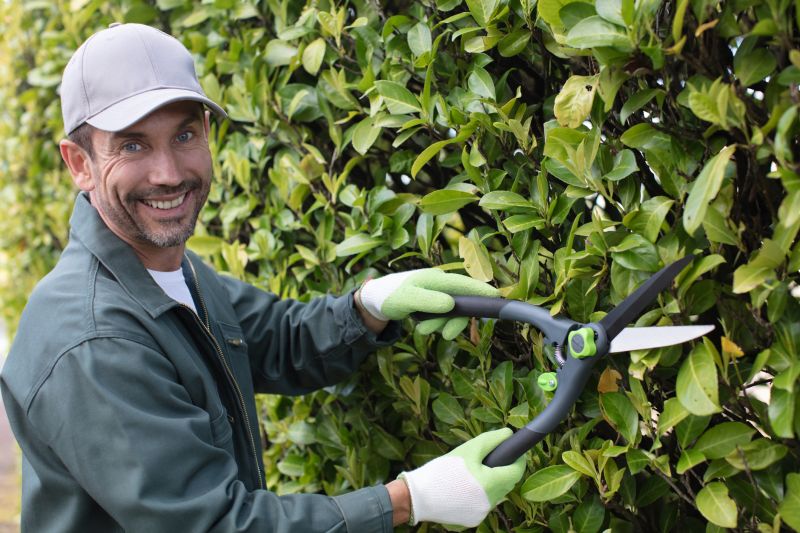 Evergreen Hedge Trimming in Ventura County, CA
