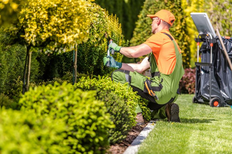 Lawn Shrubbery Care detail