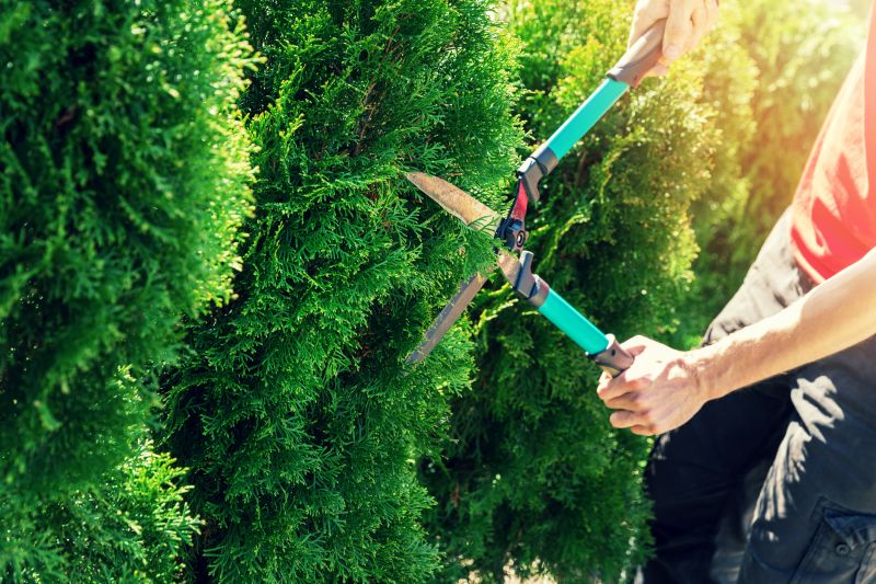 Hedge Trimming in Aiken, SC