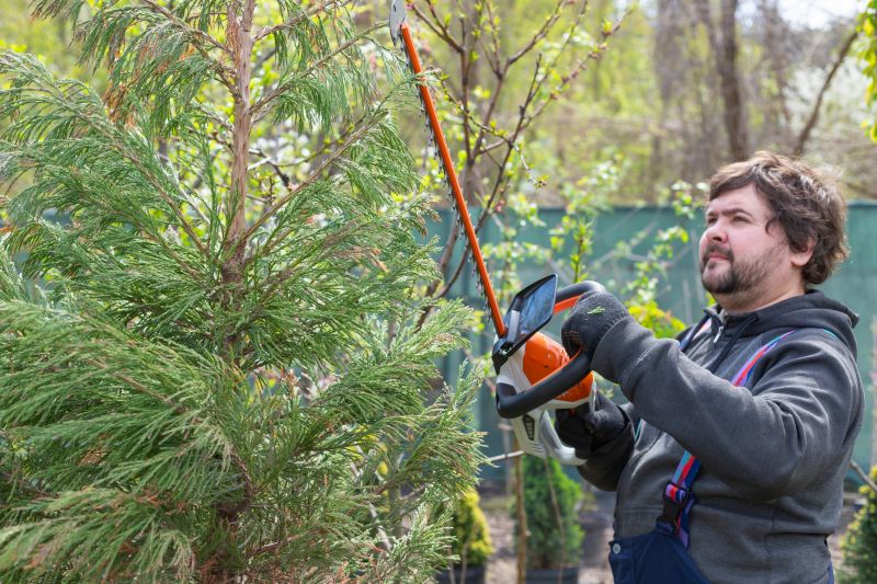 Juniper Trimming in Aiken, SC