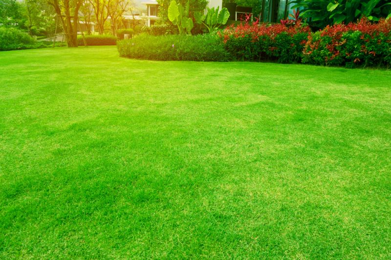 Lawn Shrubbery Care