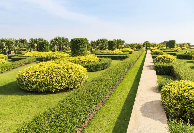 Shrub Shaping