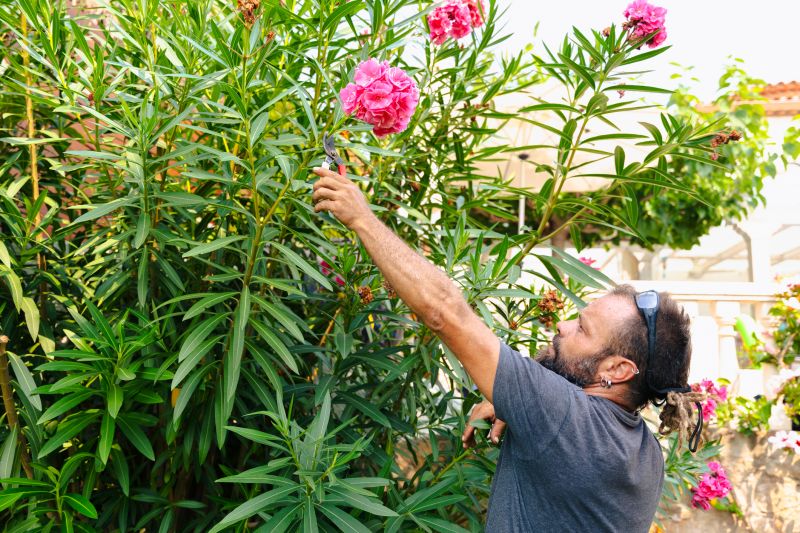 Shrub Trimming in Rockwall, TX