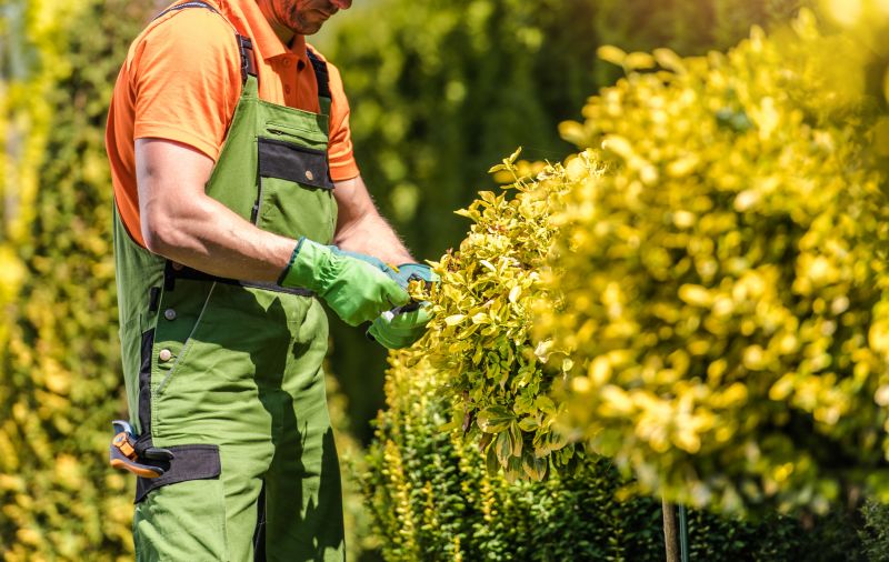 Shrubs Removal in Ventura County, CA