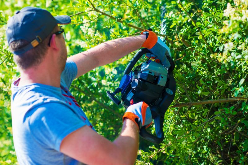Shrubs Trimming