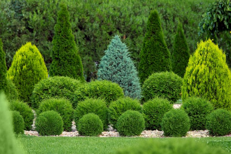 Topiary Shaping in Honolulu, HI
