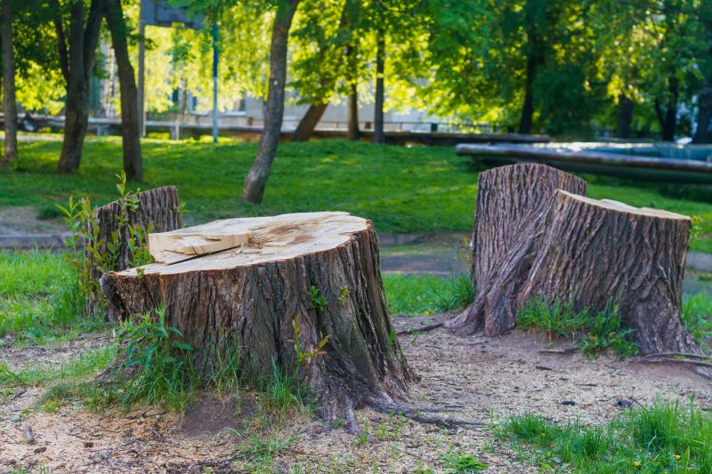 Tree Trunk Removal in Calvert County, MD
